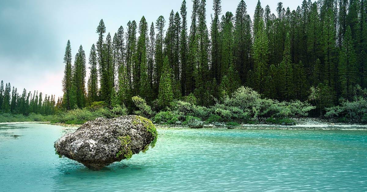 Formación en la Isla de Pinos