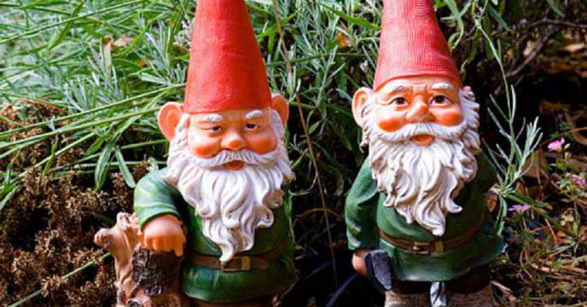 Gnomos